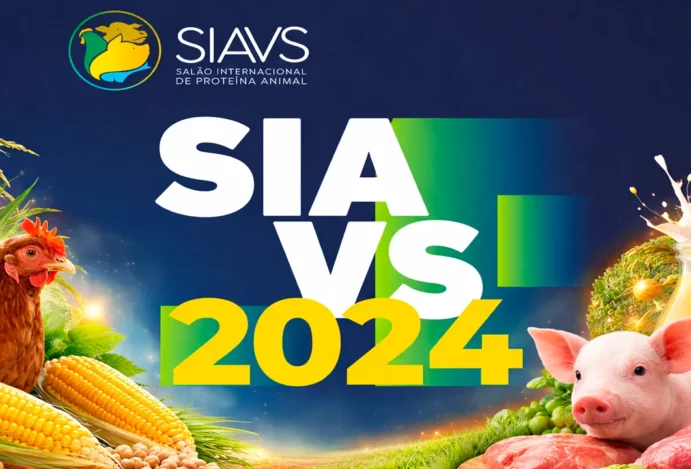 The Weeknd em São Paulo: Um Show Inesquecível no Estádio MorumBIS