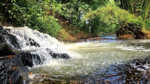 Cachoeiras do Parque São Bartolomeu: Um Refúgio de Natureza em Salvador