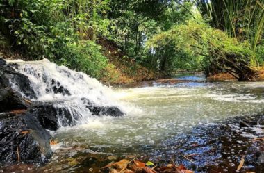 Cachoeiras do Parque São Bartolomeu: Um Refúgio de Natureza em Salvador