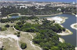 Explorando as Dunas de Abaeté: Um Tesouro Natural e Cultural em Salvador