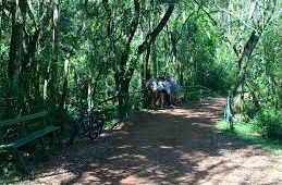 Foz do Iguaçu: Aventure-se pela Trilha do Poço Preto e Descubra a Natureza Selvagem no Coração do Parque Nacional