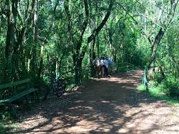 Foz do Iguaçu: Aventure-se pela Trilha do Poço Preto e Descubra a Natureza Selvagem no Coração do Parque Nacional