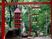 Jardim Japonês em Ribeirão Preto: Um Refúgio de Tranquilidade e História em Meio à Agitação Urbana