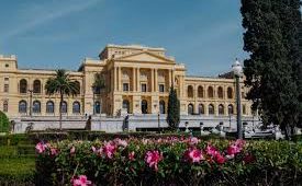 Museu do Ipiranga: Uma Viagem pela História da Independência do Brasil