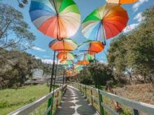 Olha a Chuva!!! Opções de Lazer em Campos do Jordão!