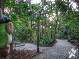 Parque Trianon – Um oásis verde no coração da Avenida Paulista