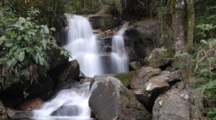 Parque da Serra do Japi: Natureza, Conservação e Ecoturismo em Piracicaba