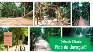 Pico do Jaraguá – O ponto mais alto de São Paulo e suas trilhas ecológicas