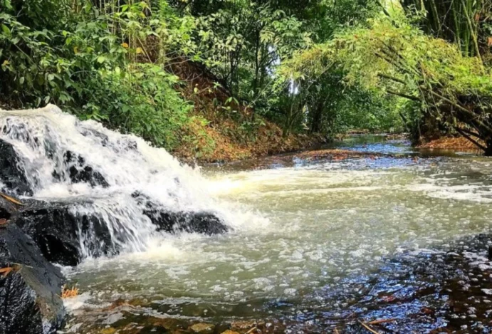 Cachoeiras do Parque São Bartolomeu: Um Refúgio de Natureza em Salvador