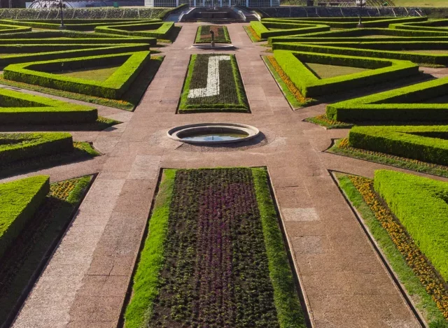 Além dos Bosques: Curitiba, Uma Cidade Que Respira Sustentabilidade