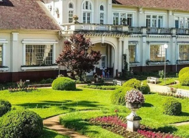 Da Loucura Urbana à Terapia Verde: Os Parques para Relaxar em Porto Alegre