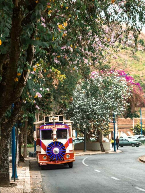 A História de Poços de Caldas