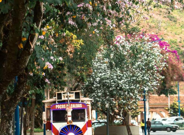 Nas Águas Termas: A História de Poços de Caldas