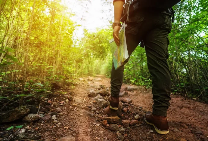 Descubra a Trilha Rio Palmeira – Indústria Portela: Uma Aventura Imperdível em Jaboatão dos Guararapes