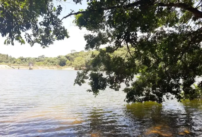 Mata de Jangadinha: Um Refúgio Natural em Jaboatão dos Guararapes