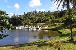 Parque Metropolitano de Pituaçu: Uma Experiência Ecológica em Salvador