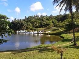 Parque Metropolitano de Pituaçu: Uma Experiência Ecológica em Salvador