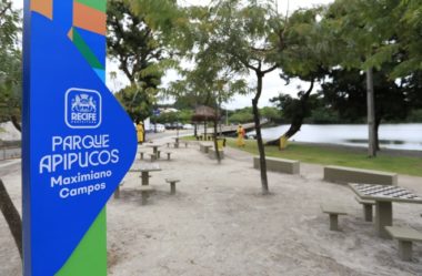 Parque de Apipucos: Uma Experiência de Paz e Natureza em Recife