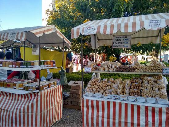 Foz do Iguaçu: Aventure-se pela Trilha do Poço Preto e Descubra a Natureza Selvagem no Coração do Parque Nacional