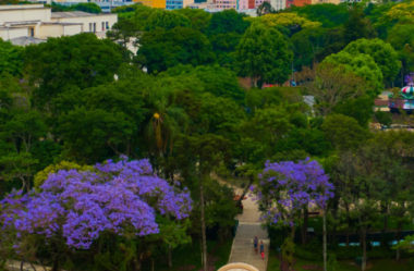 Curitiba uma Cidade Sustentável