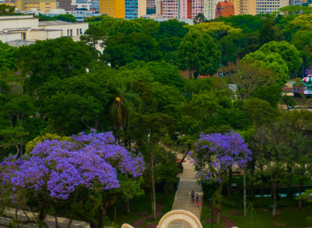 Curitiba uma Cidade Sustentável