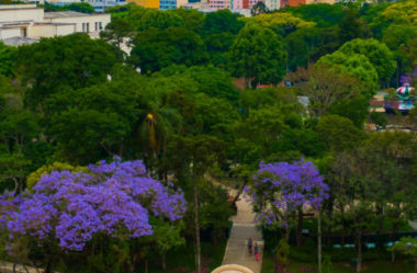 O que fazer em Curitiba em 3 dias