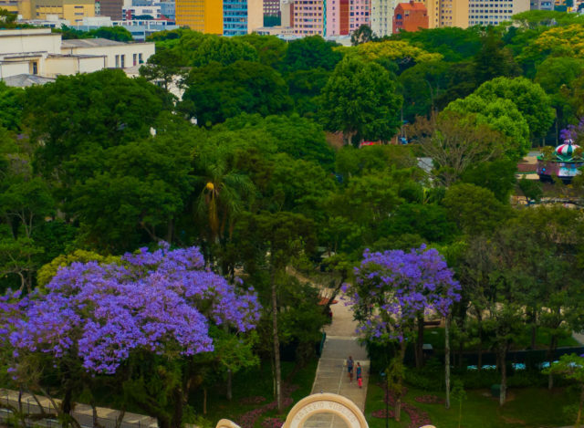 O que fazer em Curitiba em 3 dias