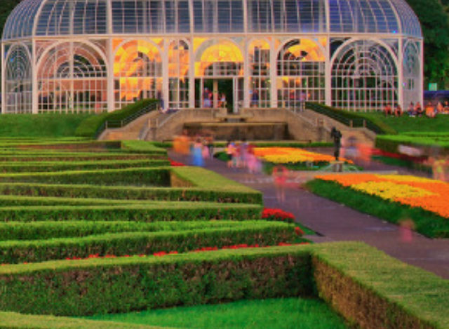 Curitiba, Uma Cidade Que Respira Sustentabilidade