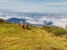 Caminhada na Floresta da Mantiqueira em Campos do Jordão: Conexão com a Natureza