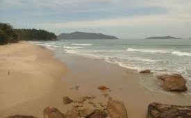 Descubra a Praia Brava da Almada: Um Refúgio Selvagem em Ubatuba