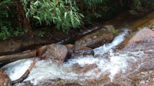 Descubra as Corredeiras do Fojo em Campos do Jordão: Um Refúgio Escondido na Natureza