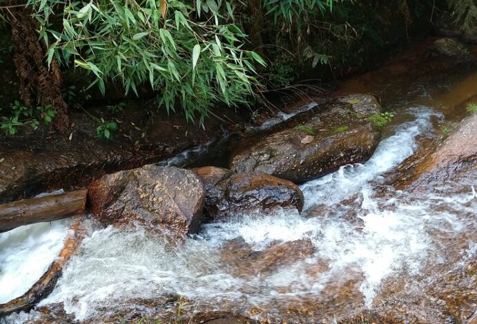 Campos do Jordão em 2 dias: A Suíça Brasileira Te Espera!