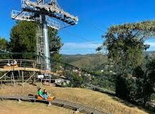 Trenó da Montanha em Campos do Jordão: Um Dia de Lazer e Aventura