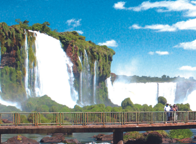 Riquezas da Terra: O Tesouro Biodiverso do Parque Nacional do Iguaçu