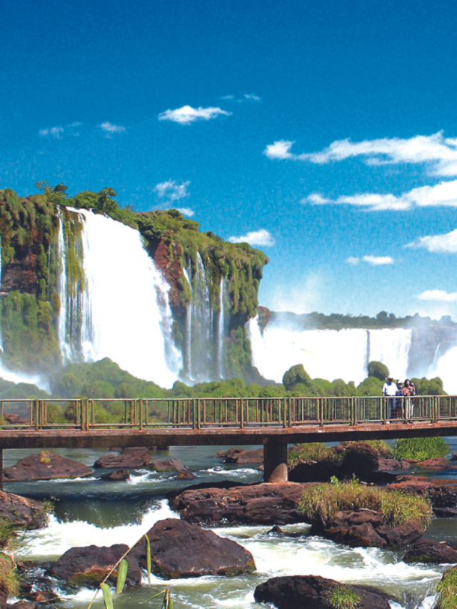 Riquezas da Terra: O Tesouro Biodiverso do Parque Nacional do Iguaçu