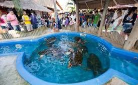 Os Melhores Passeios para Famílias em Ubatuba