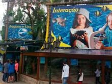Ubatuba com Crianças – Roteiro de Diversão para os Pequenos