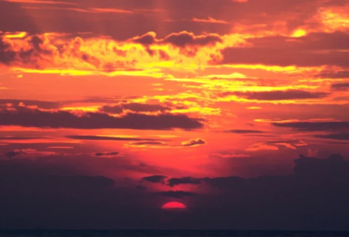 Quinzena do Consumidor em Curitiba: Mais Imperdível Que Passeio no Parque Tanguá ao Pôr do Sol!
