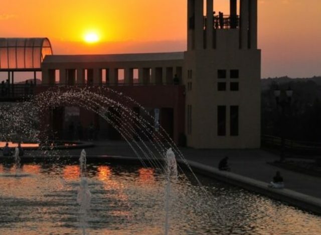 Quinzena do Consumidor em Curitiba: Mais Imperdível Que Passeio no Parque Tanguá ao Pôr do Sol!