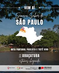 Roteiro Gastronômico em Araçatuba: Descubra os Sabores que Encantam o Interior Paulista