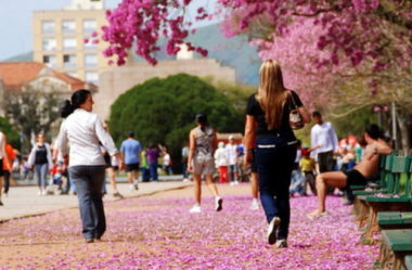 Pensou, Agiu, Cortellou: As trilhas no Pensar e no Fazer em Porto Alegre