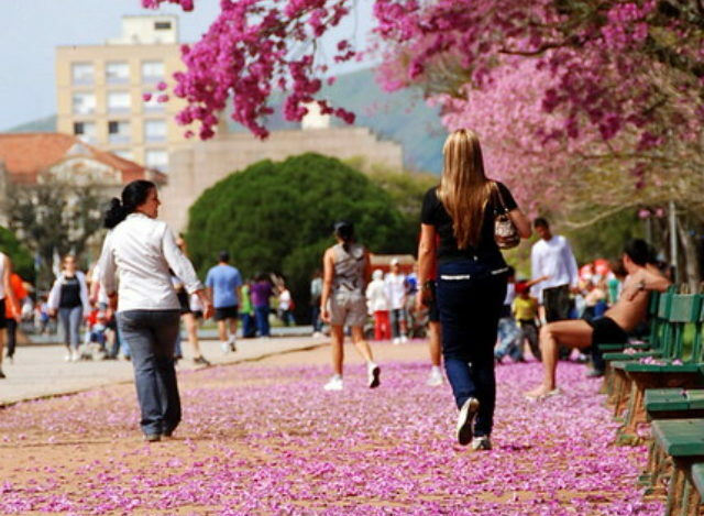 Do Sertão para o Coração: Zé Ramalho em Performance Única no Rio