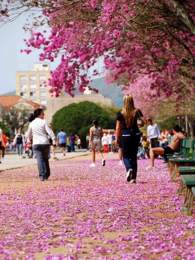 O Dia das Mães em Porto Alegre tem café, pôr do sol e abraço apertado