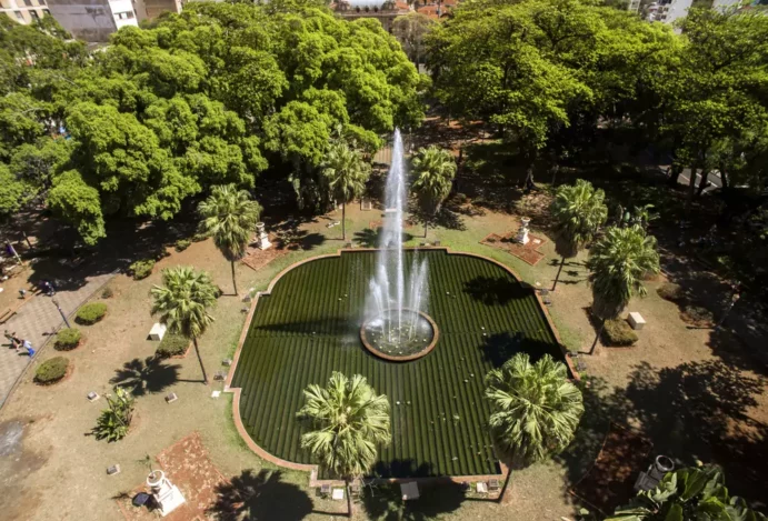 Carnaval 2025: Ribeirão nota 10 na festa, Dan Inn nota mil no conforto!