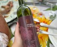 Aromas intensos, experiências incríveis: 5ª edição do Vinhos na Serra é assim"