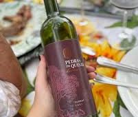 Aromas intensos, experiências incríveis: 5ª edição do Vinhos na Serra é assim