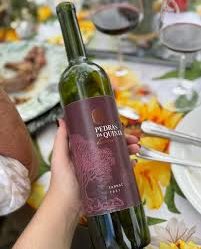 Aromas intensos, experiências incríveis: 5ª edição do Vinhos na Serra é assim”