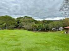 Tranquilidade e Cultura Verde no Coração de Rio Preto