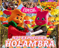 42ª Expoflora em Holambra: cores, aromas e experiências inesquecíveis com hospedagem no Euro Suite Campinas