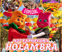 42ª Expoflora em Holambra: cores, aromas e experiências inesquecíveis com hospedagem no Euro Suite Campinas